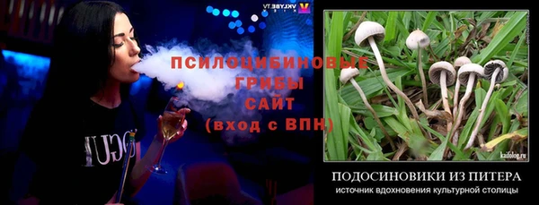 крисы Новозыбков