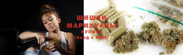 бошки Новодвинск